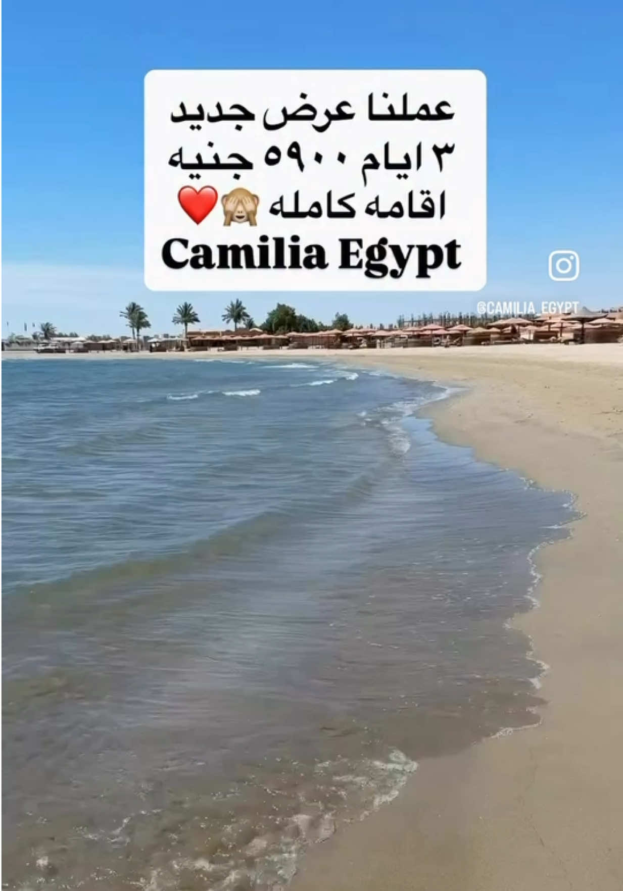 @Camilia