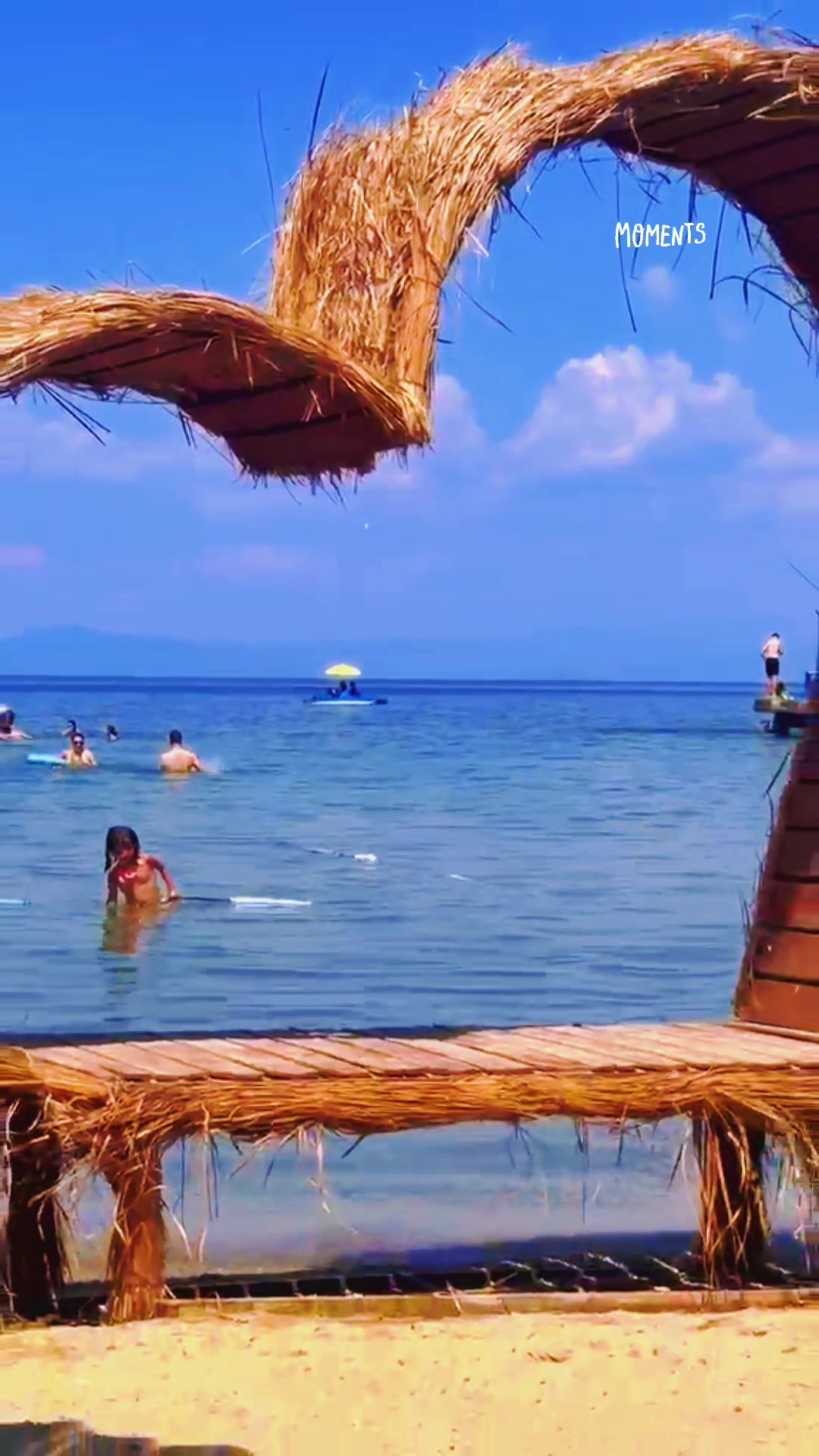@Mandi Gaci