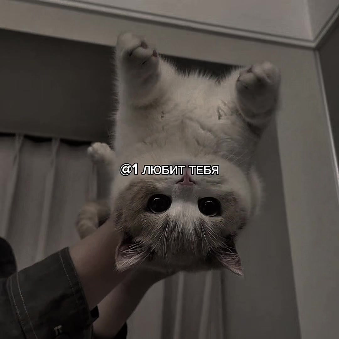 @ХХИКА
