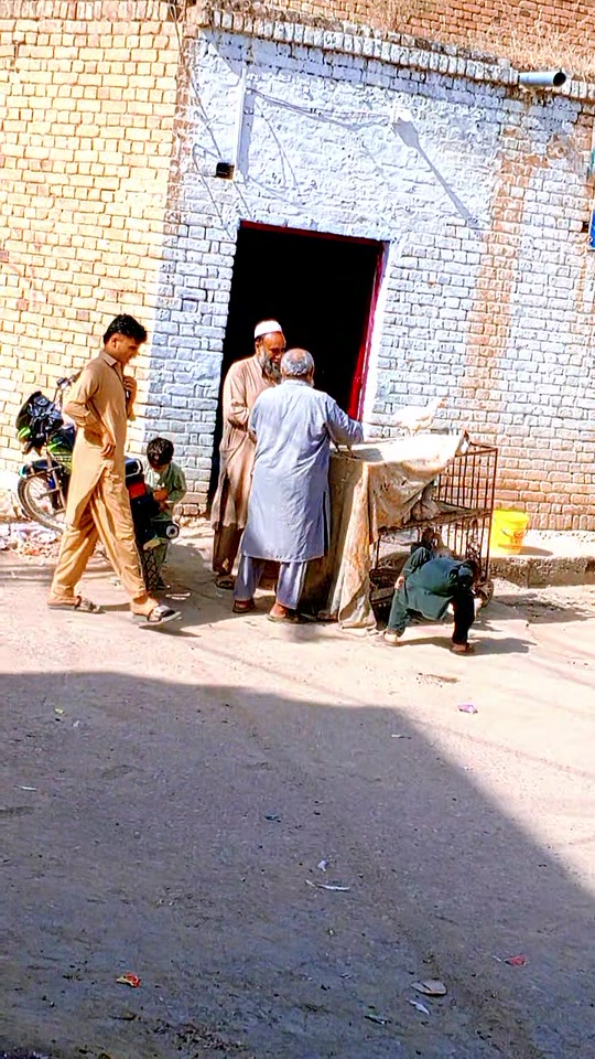 @Rafibangash123