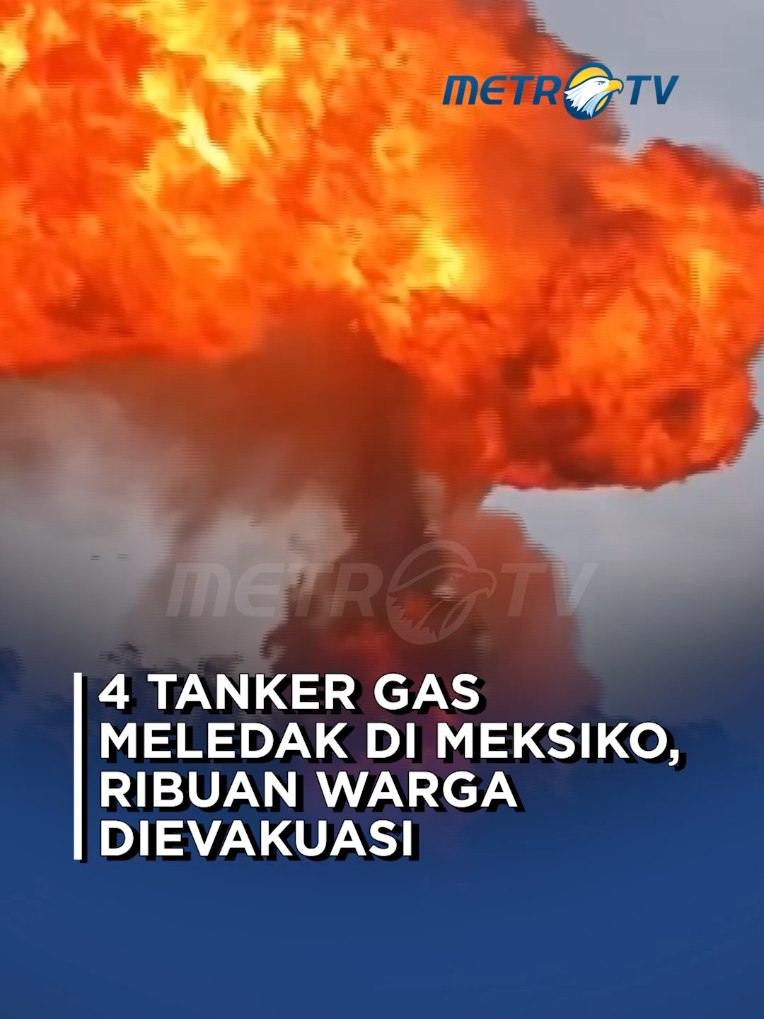 @Metro TV