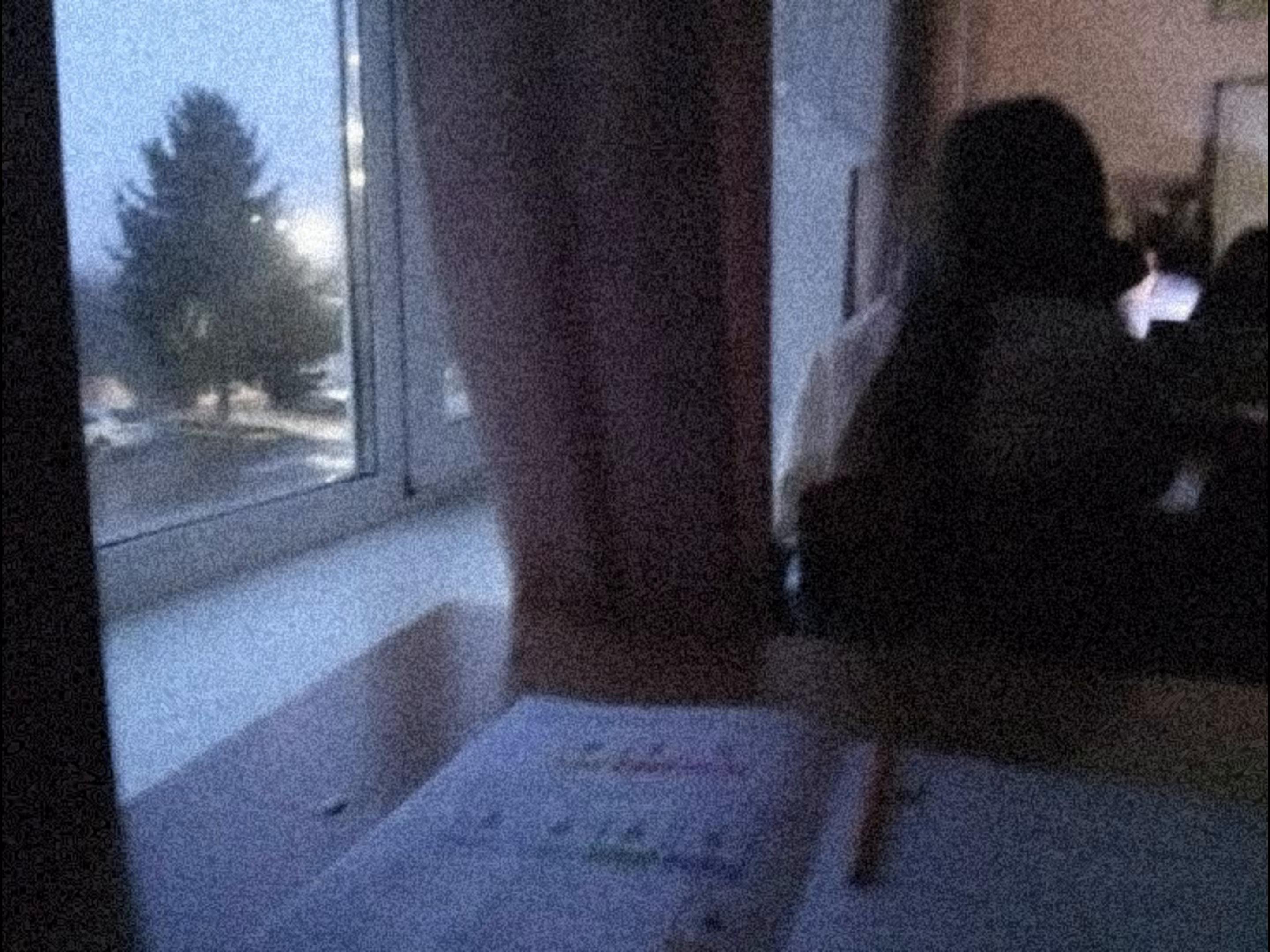 @yasya