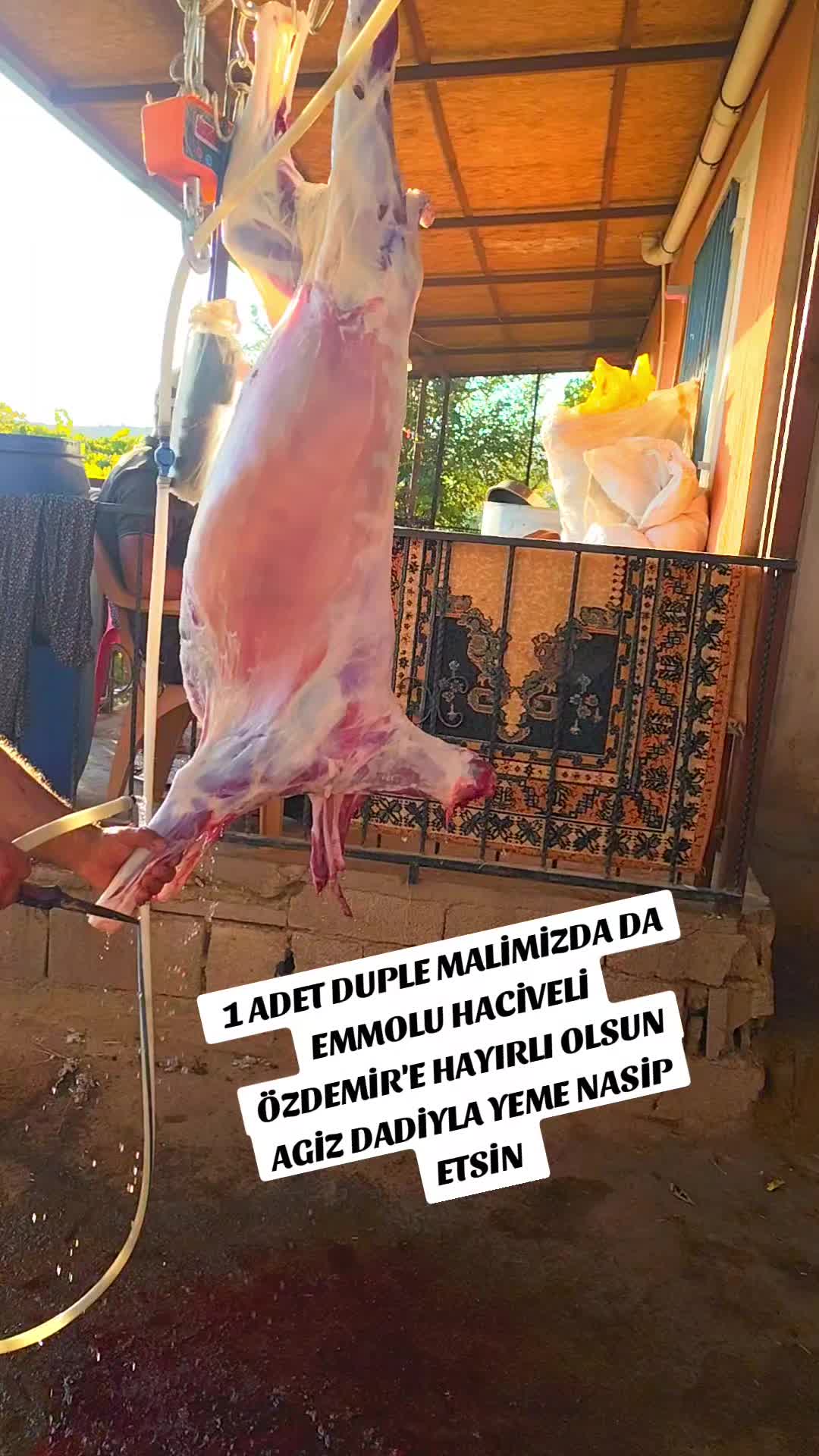 @ADAKCI CUMA