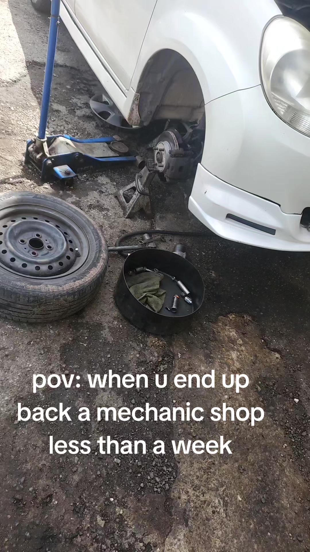 @דאמו Damo