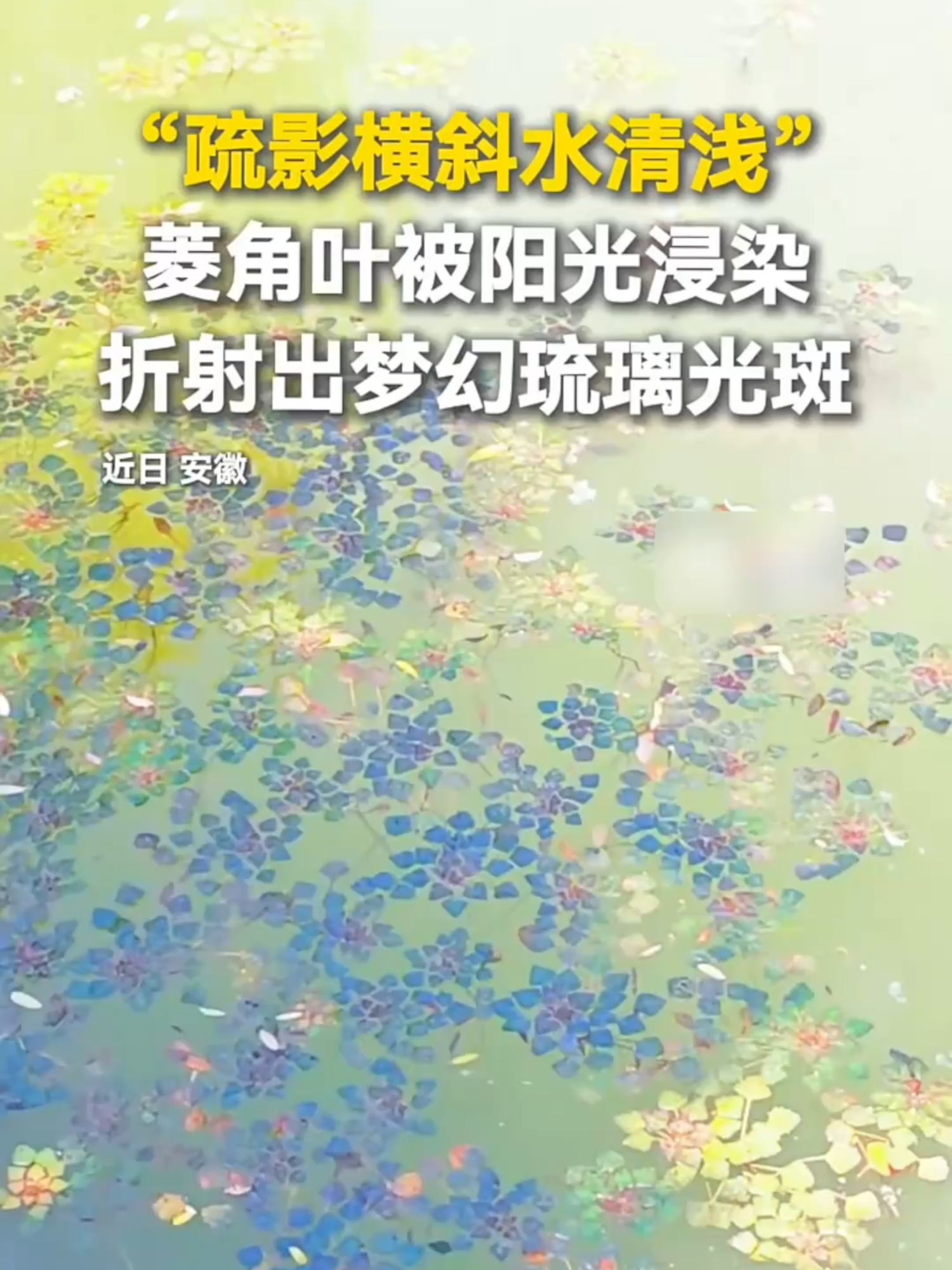 @闽南风～