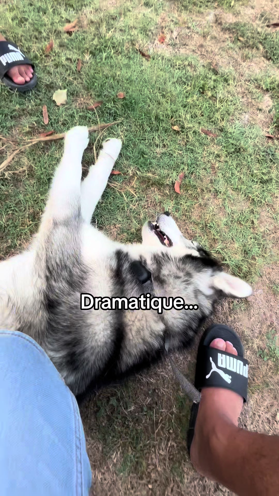 @worldleroy