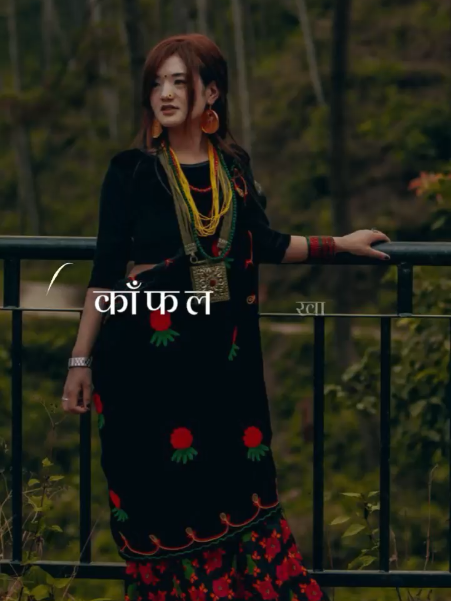 @basnet edit zone