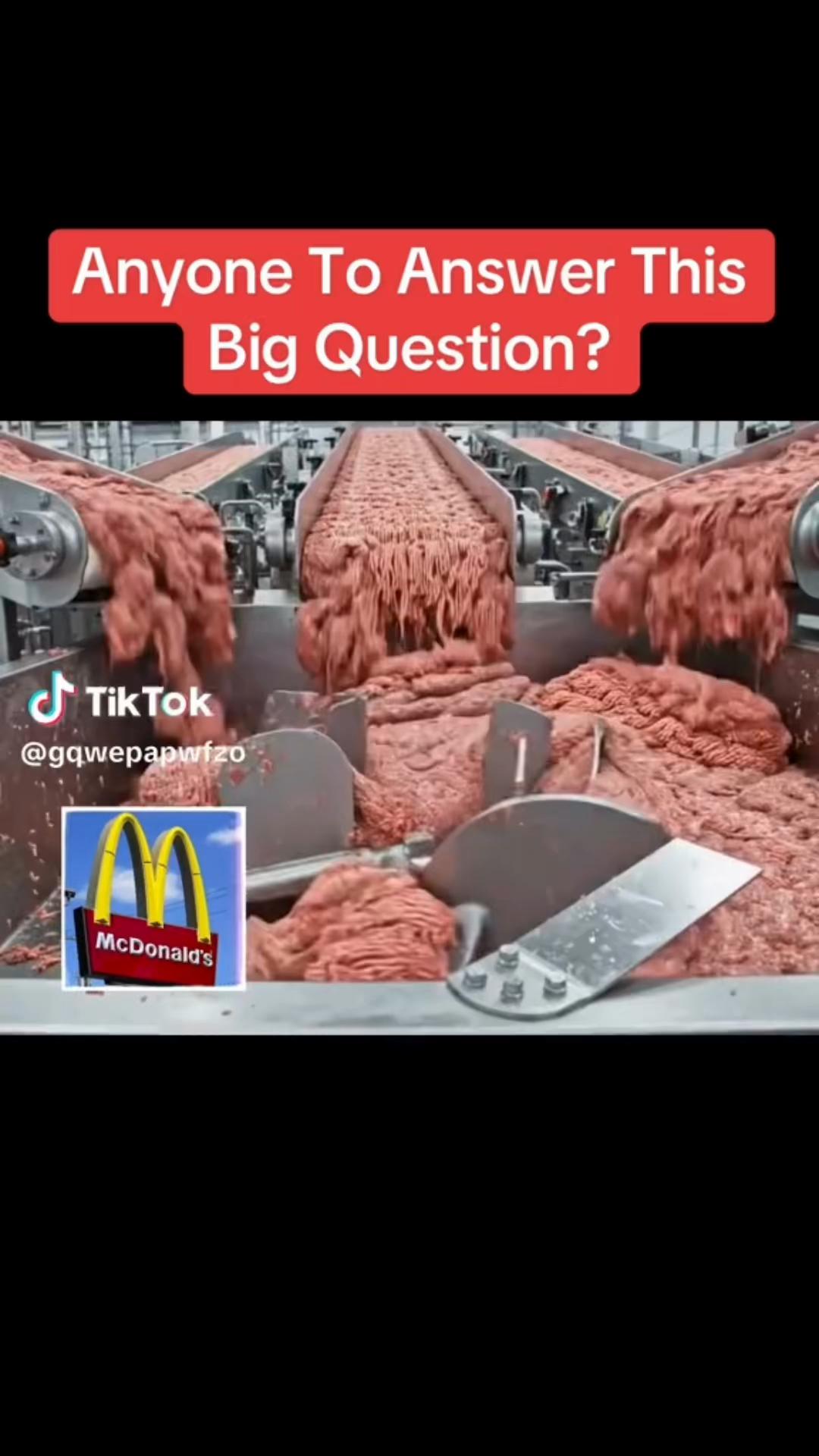 @schtanley1