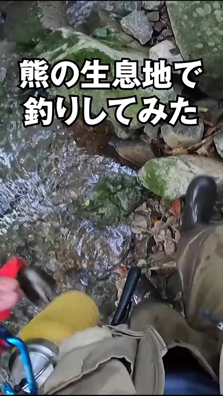@エルドラド