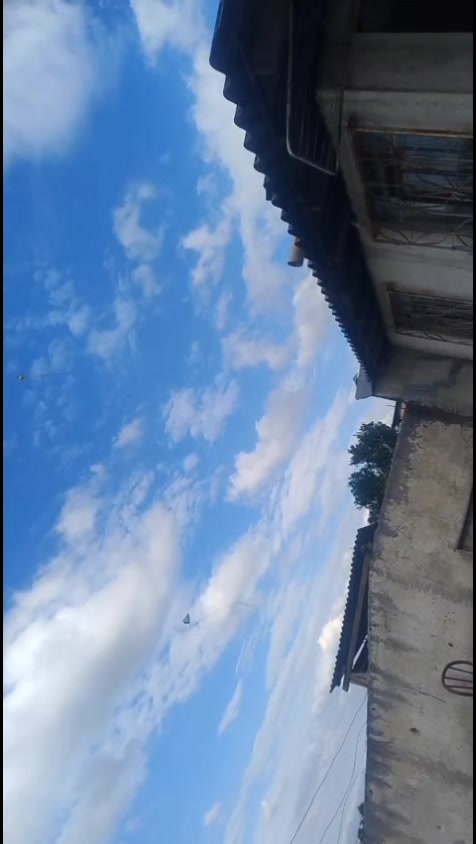 @eo_dkzin_zn