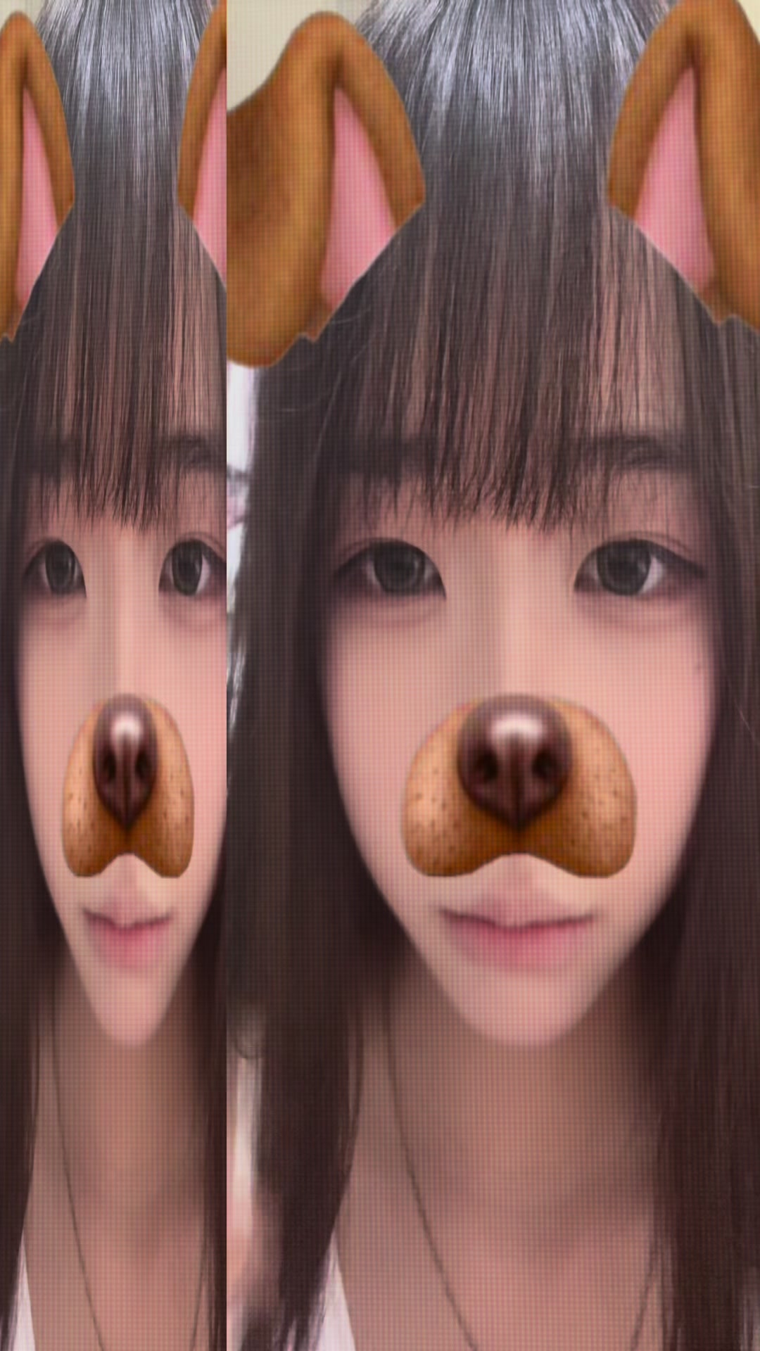 @公主