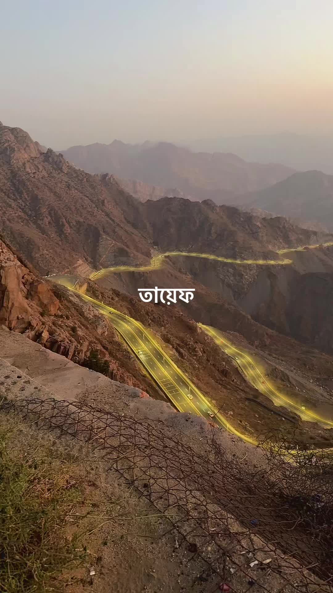 @تومي شودو امر