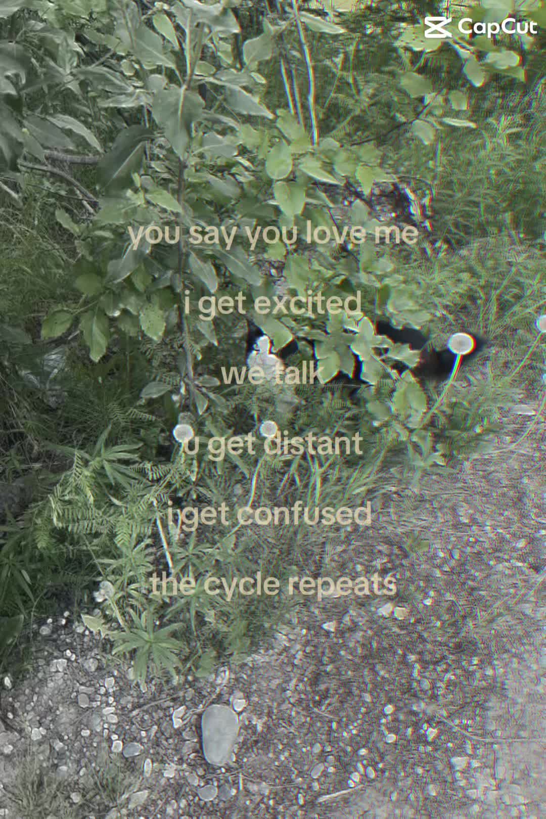 @☆𝓼𝓴𝔂♡ɴᴏᴀʜ ᴋᴀʜᴀɴs ᴠᴇʀsɪᴏɴ