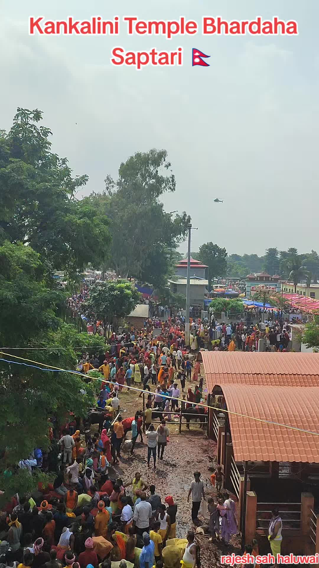 @Rajesh Shah Haluwai 🇪🇺