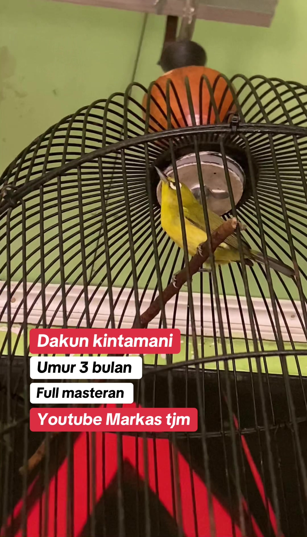 @Markas Tjm