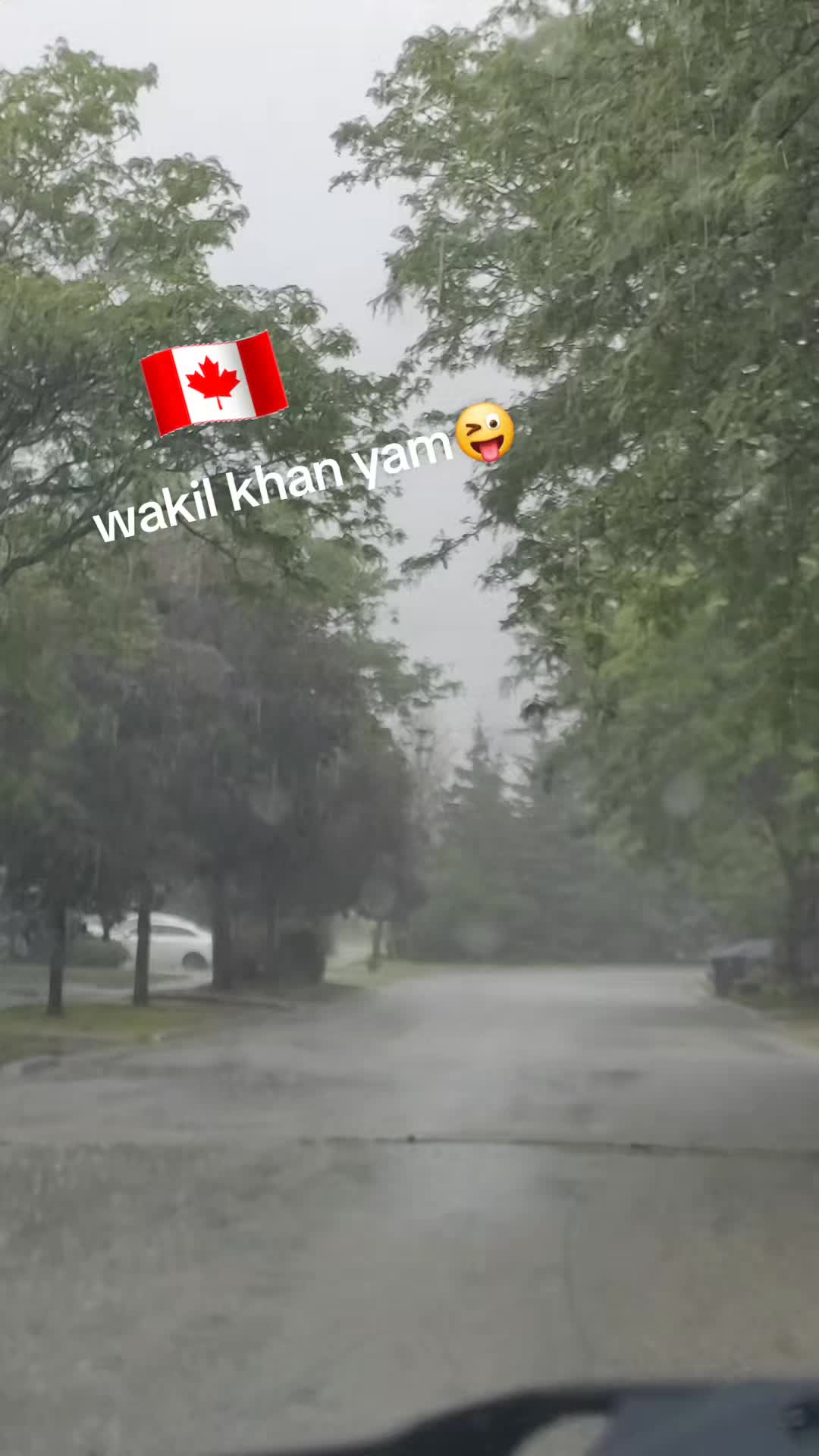 @Sher khan🇨🇦🥀