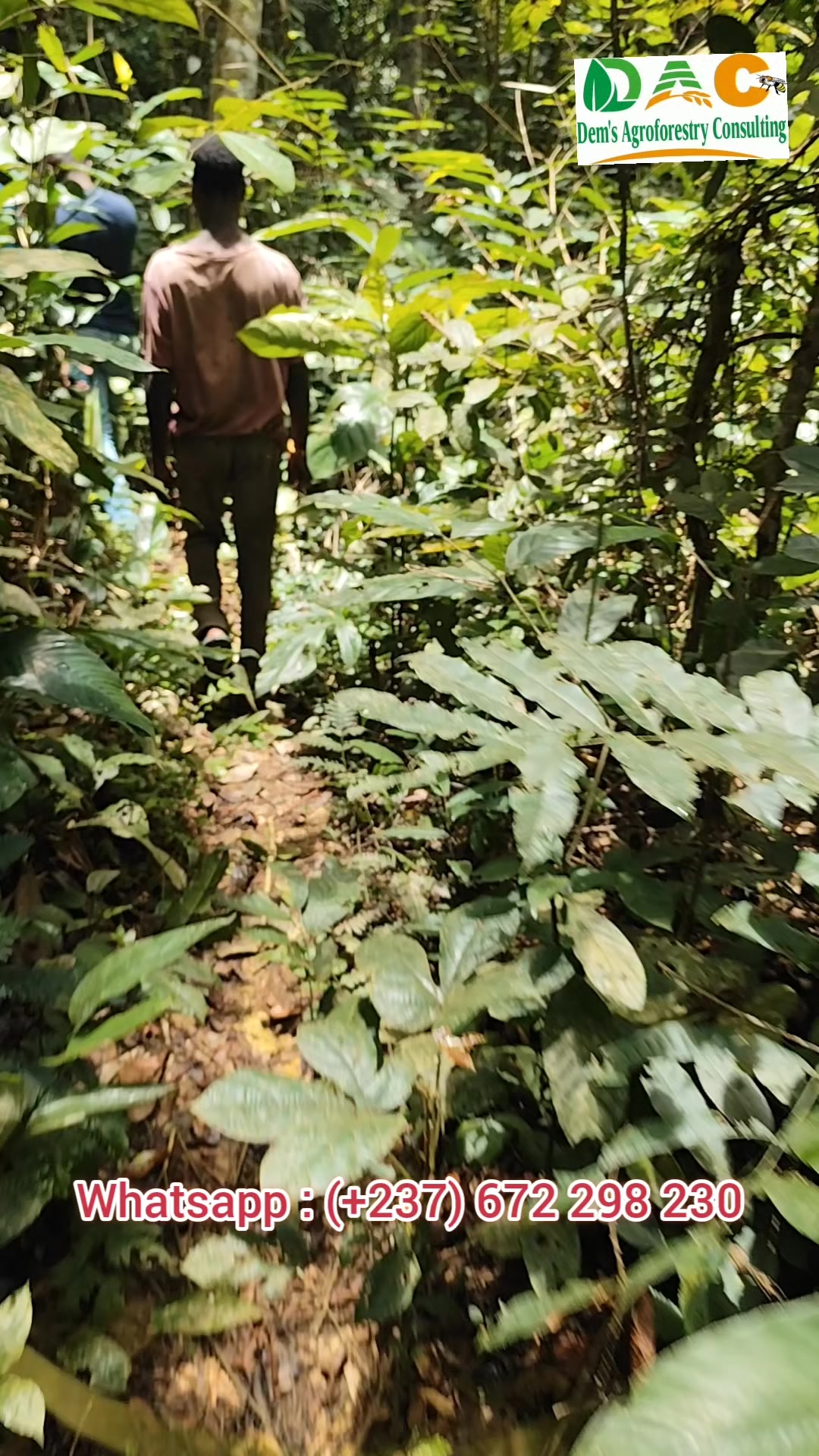 @Dem's Agroforestry Consulting