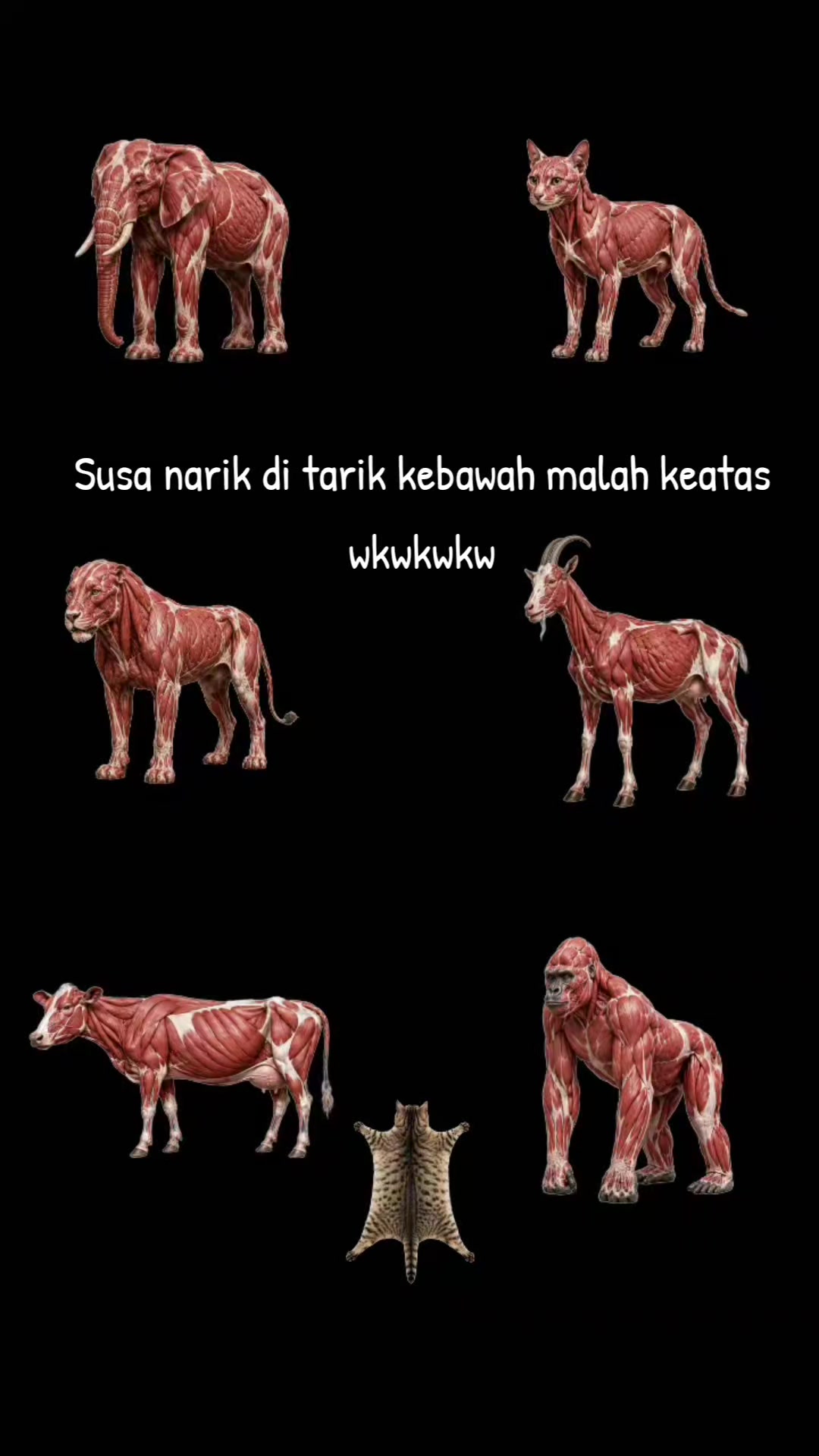 @nanaz