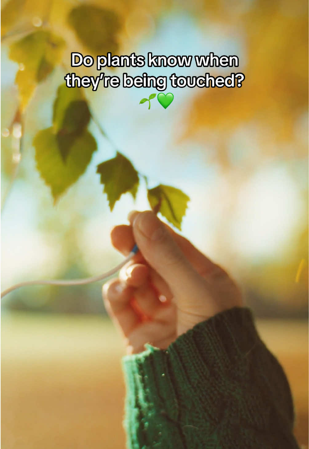 @Modern Biology