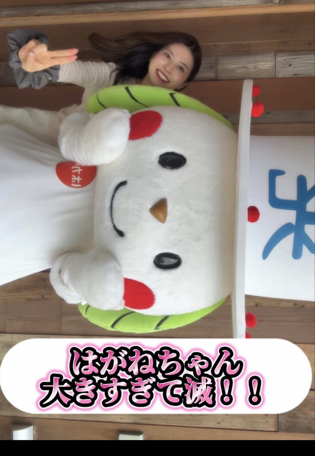 @お茶わんこはがねちゃん 堀口製茶PRキャラ
