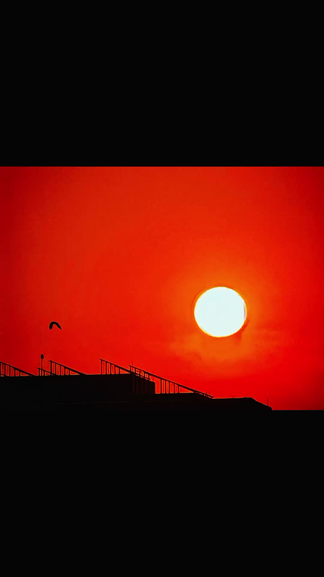 @𝓣𝓲𝓼𝓱𝓪🌙