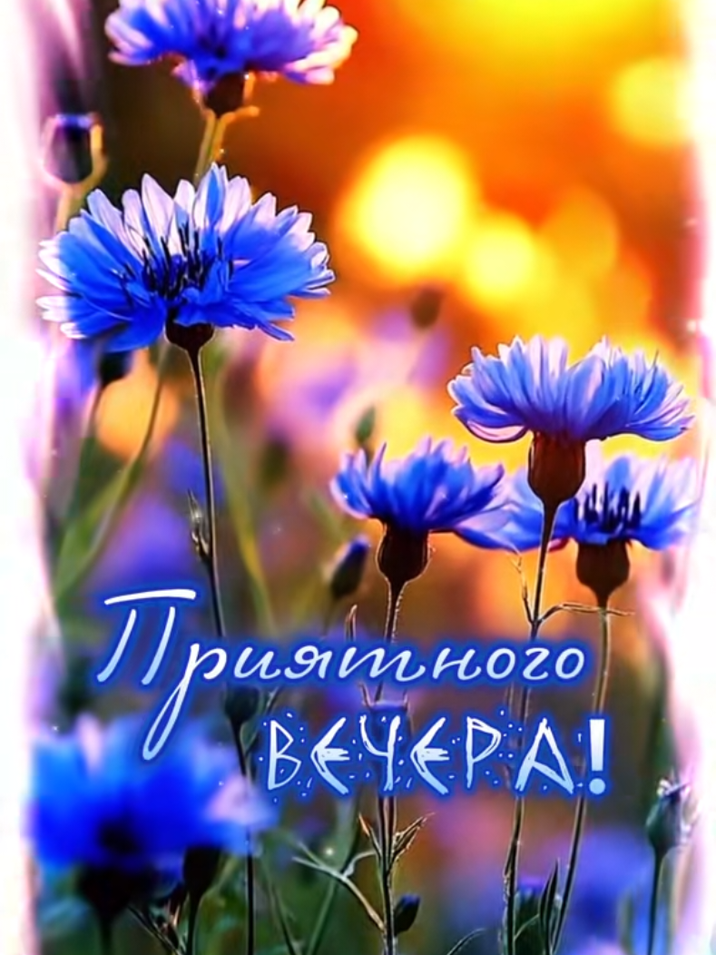 @❀︎ oxana_ok10 ❀︎