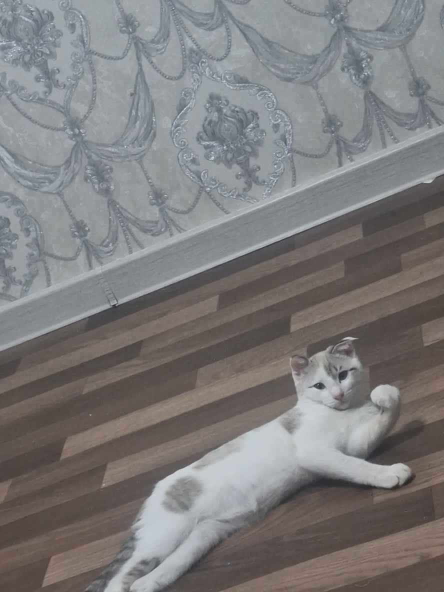 @🌸