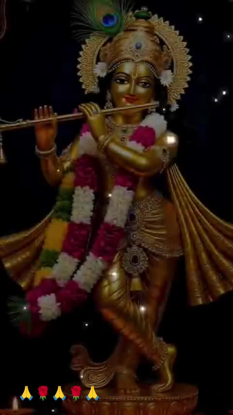@Preetha Aji