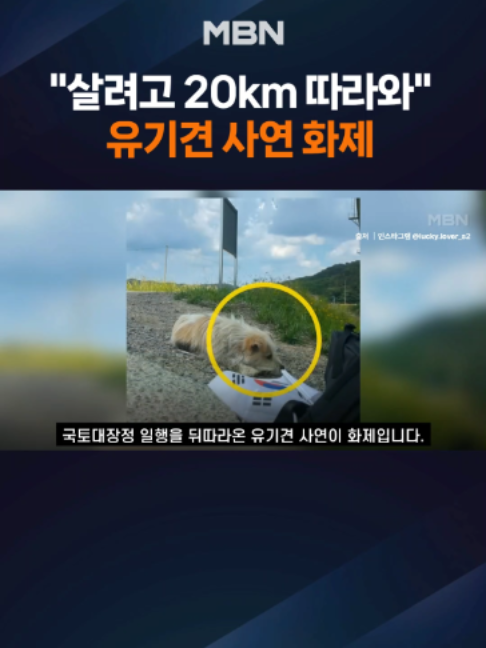@MBN NEWS