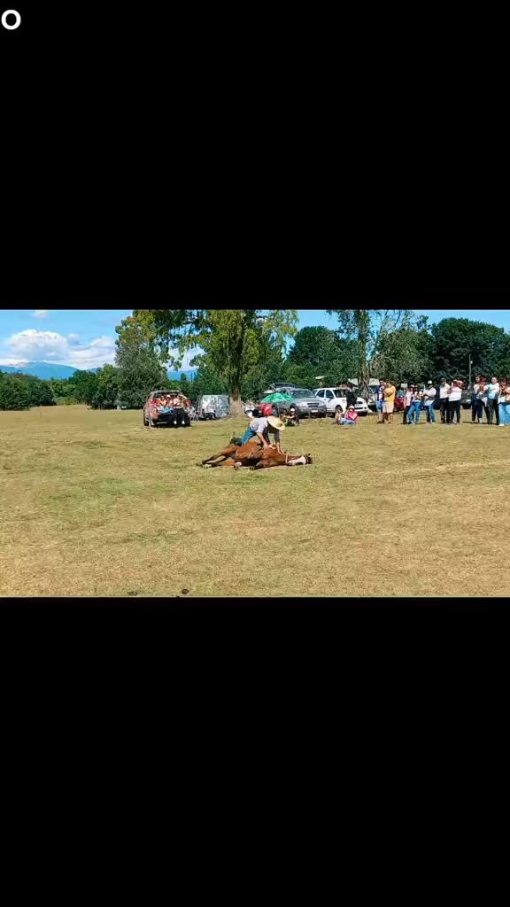 @nano Albarrán