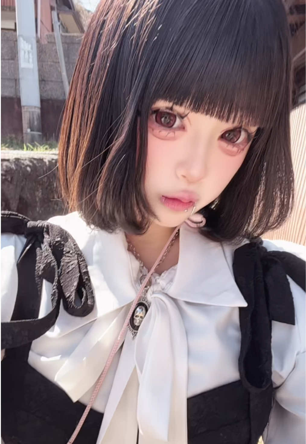 @かびぱにさん
