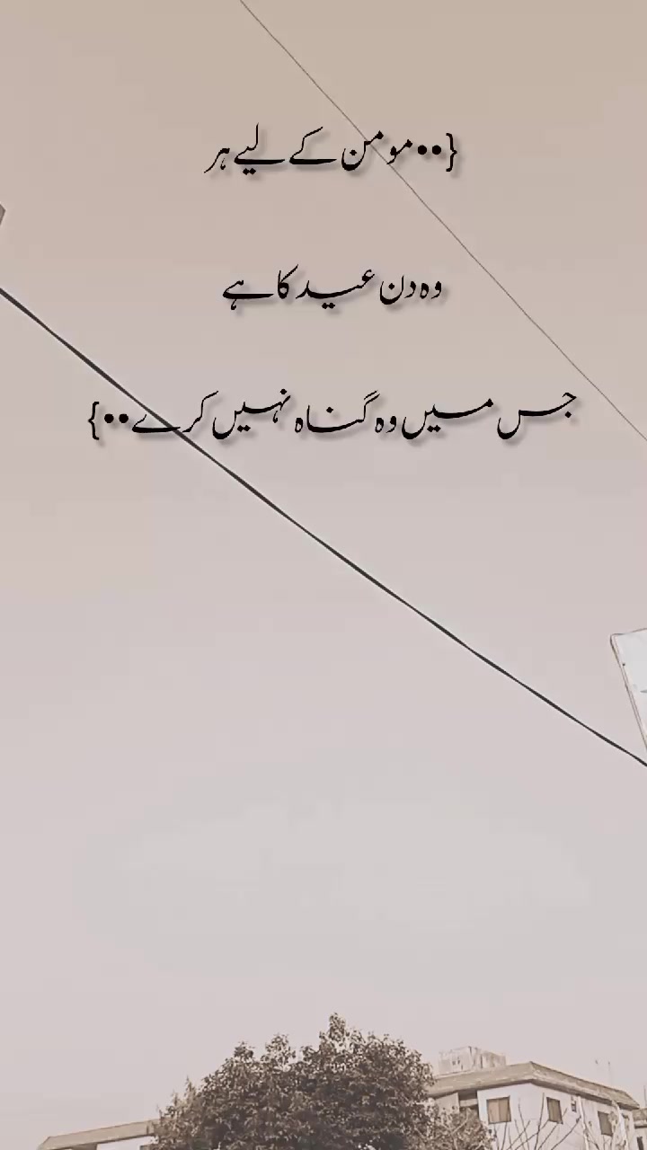 @🦅کشمیری رائٹس 🍁(◕‿-)