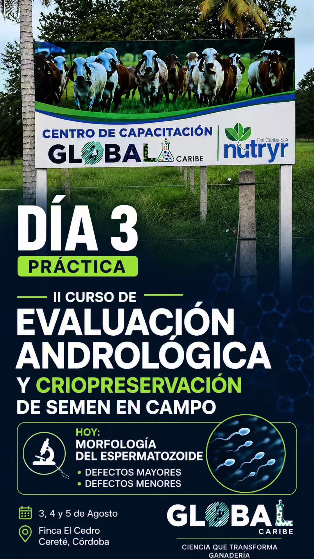 @Global Caribe