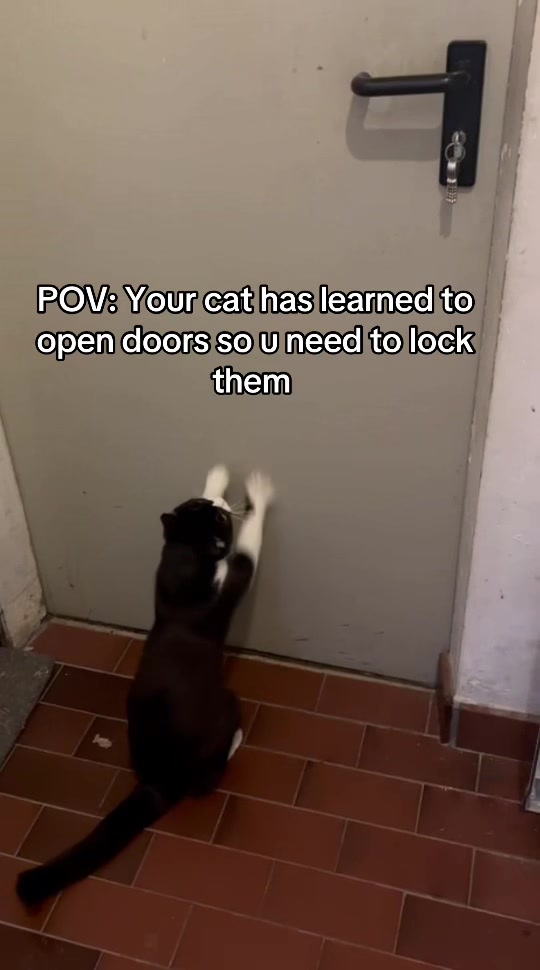 @strwberrii