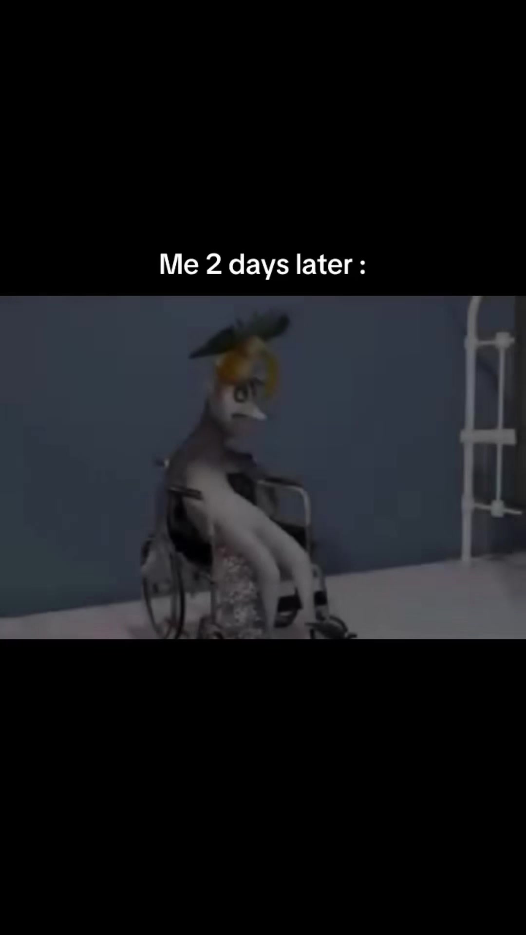 @Kirolifts