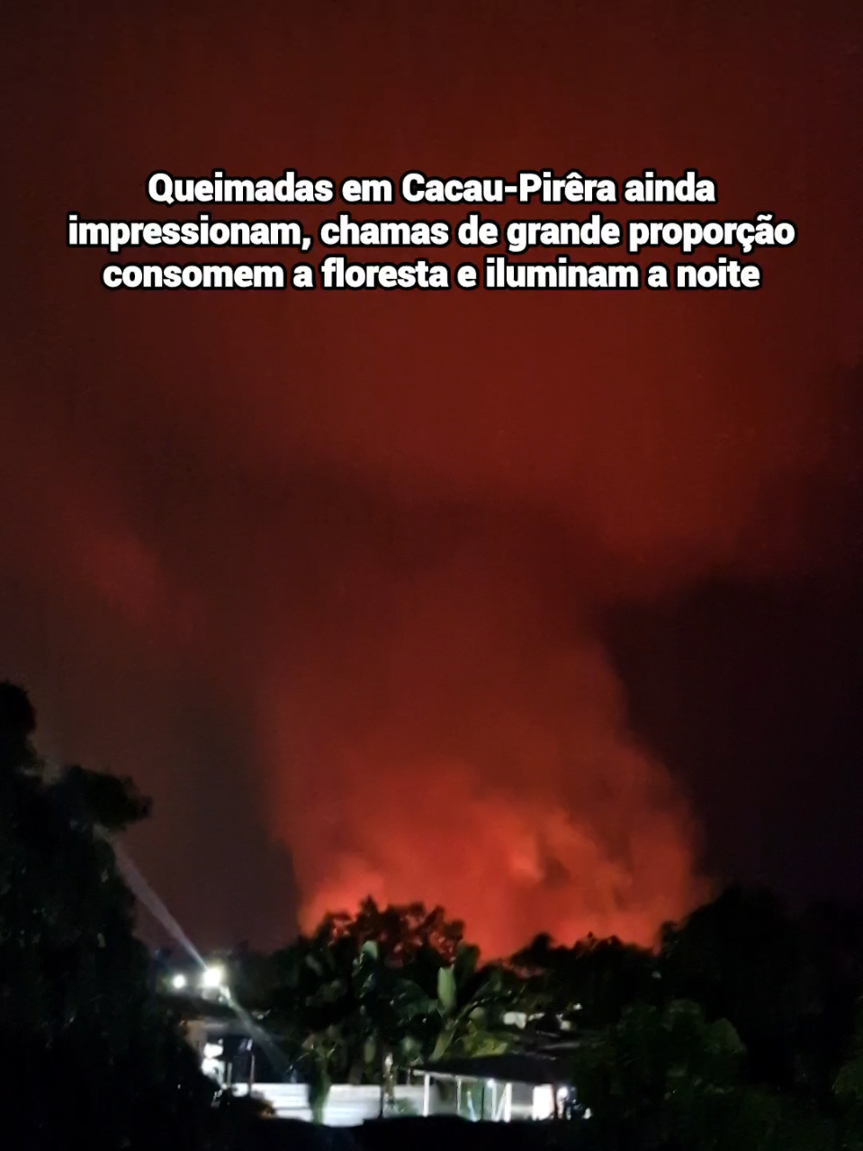 @Adriano Duarte I Tag Dicas