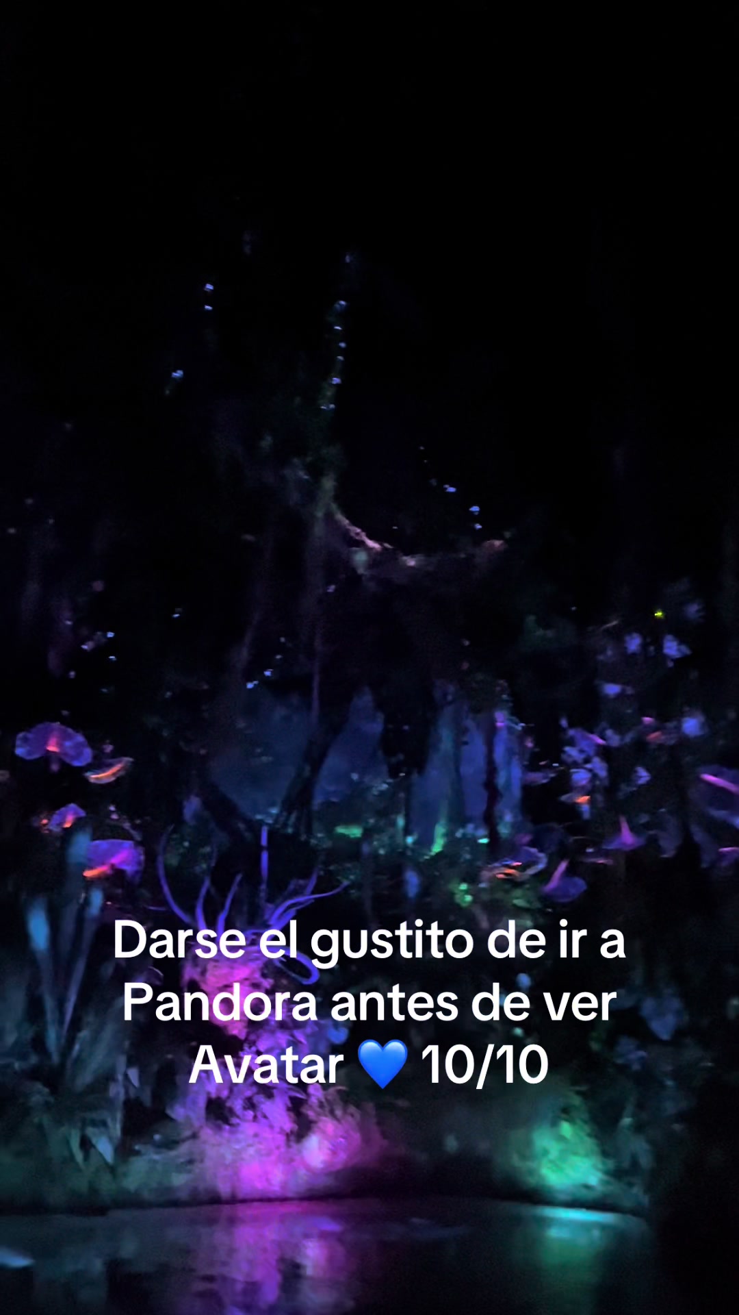 @Nicole