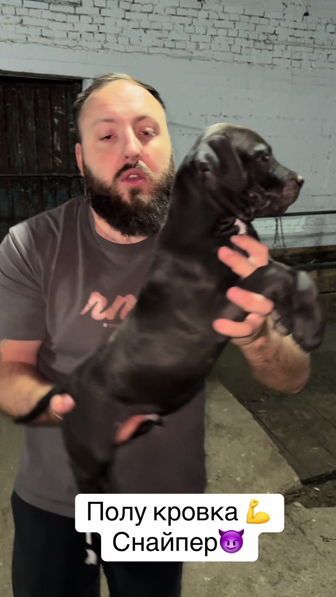 @saimonxxl