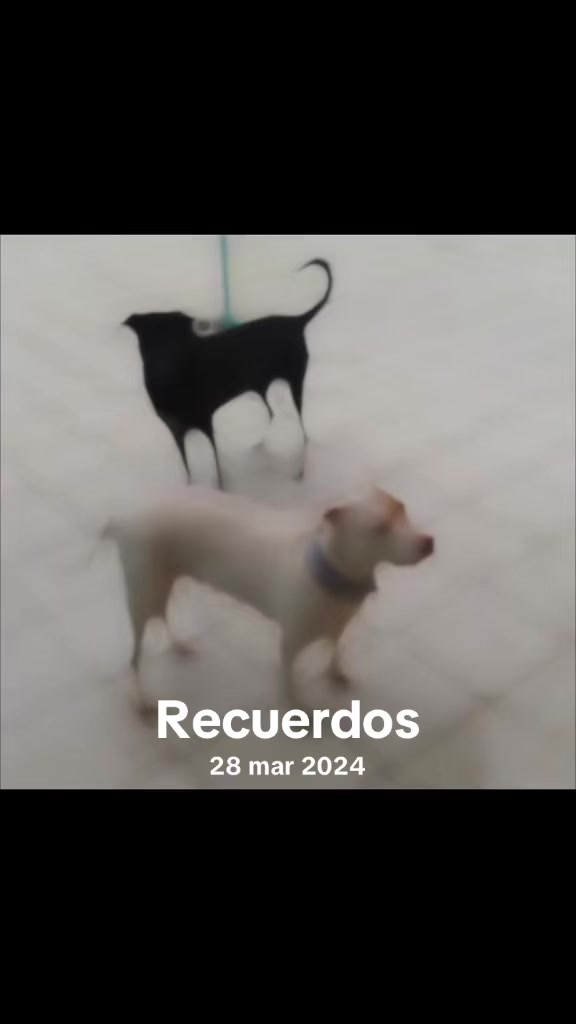 @Danny Herrera