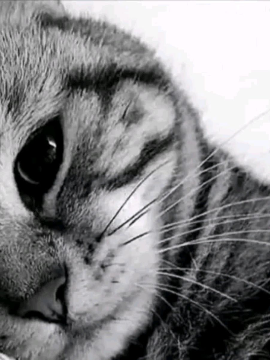 @˚₊‧꒰ა 𝗦𝘂𝗺𝗺𝗲𝗿 ໒꒱ ‧₊˚