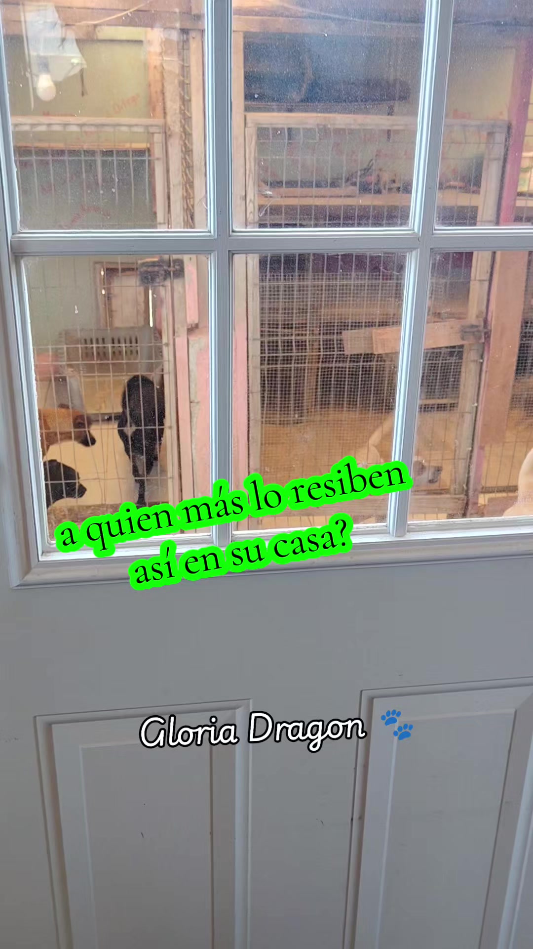 @Gloria Arellano Ramirez
