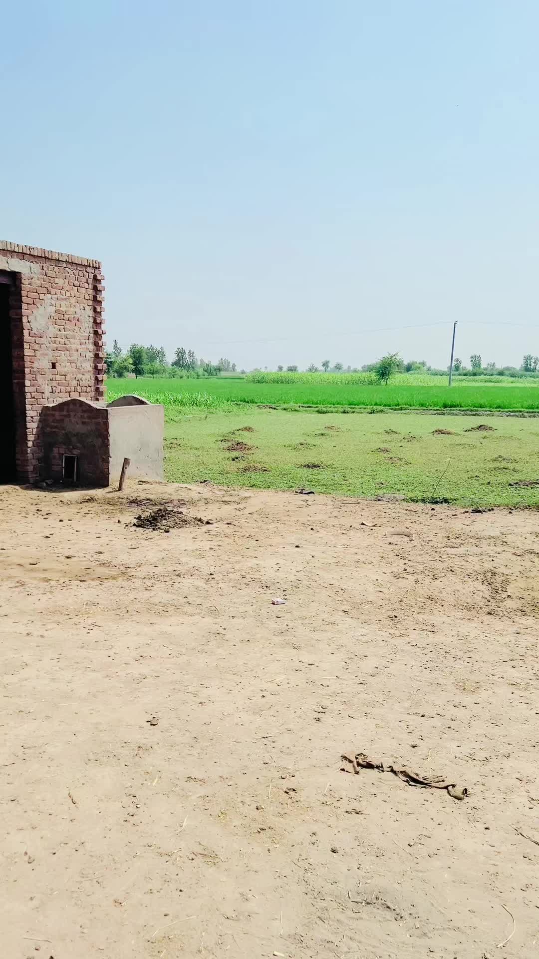 @SUNNY JAPPA