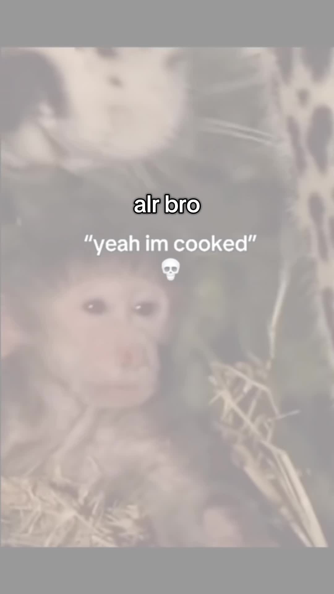@xolsbowls