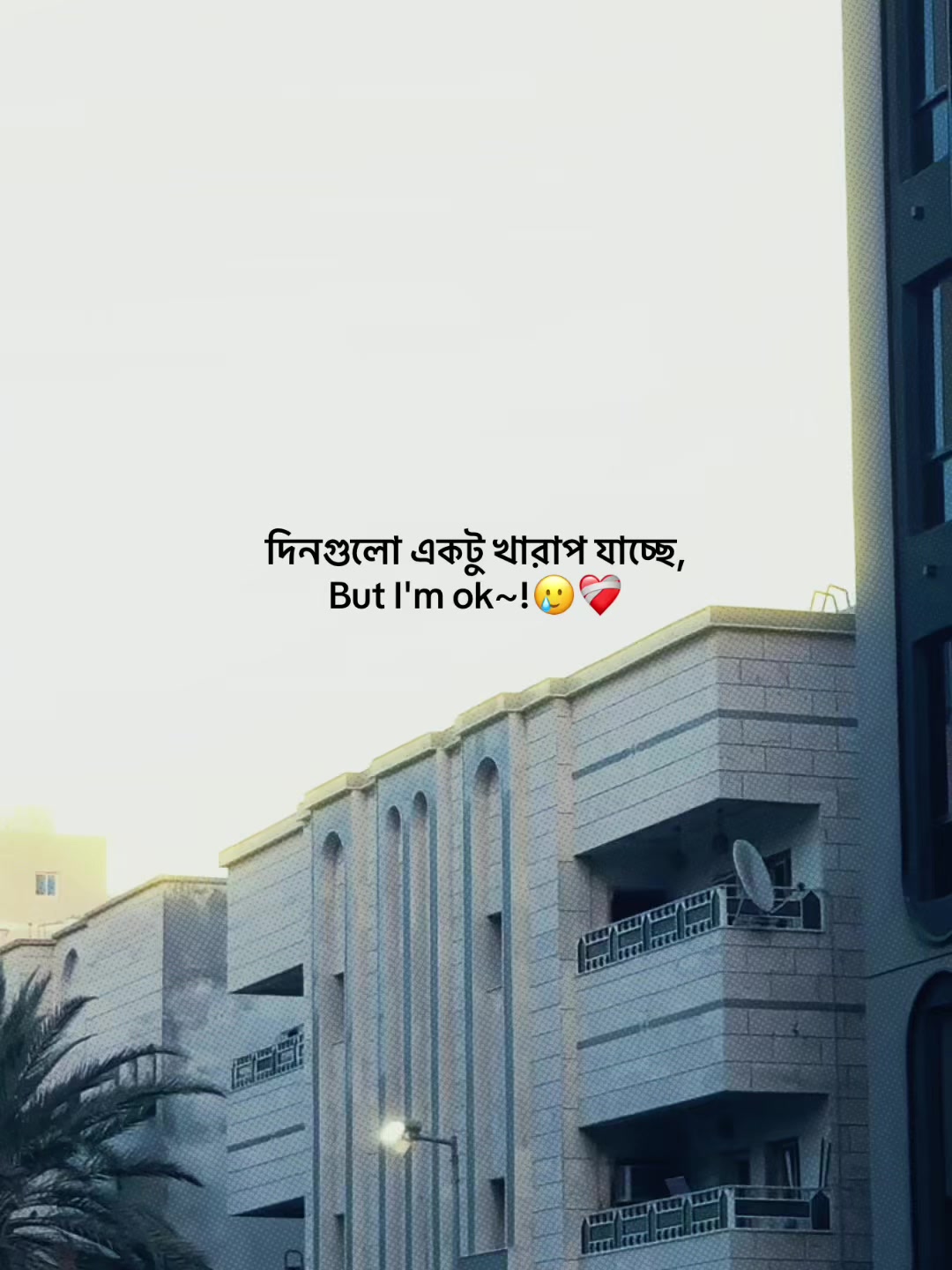 @𝐒𝐈 𝐘 𝐀𝐌 