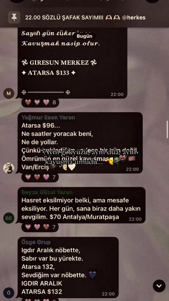 @yaren meclisi✨