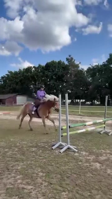 @TA OD KUCYKÓW🐴🐎