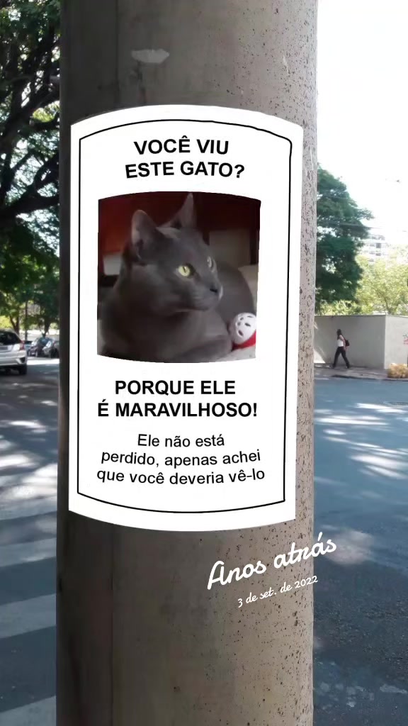 @O GATO ZEZÉ