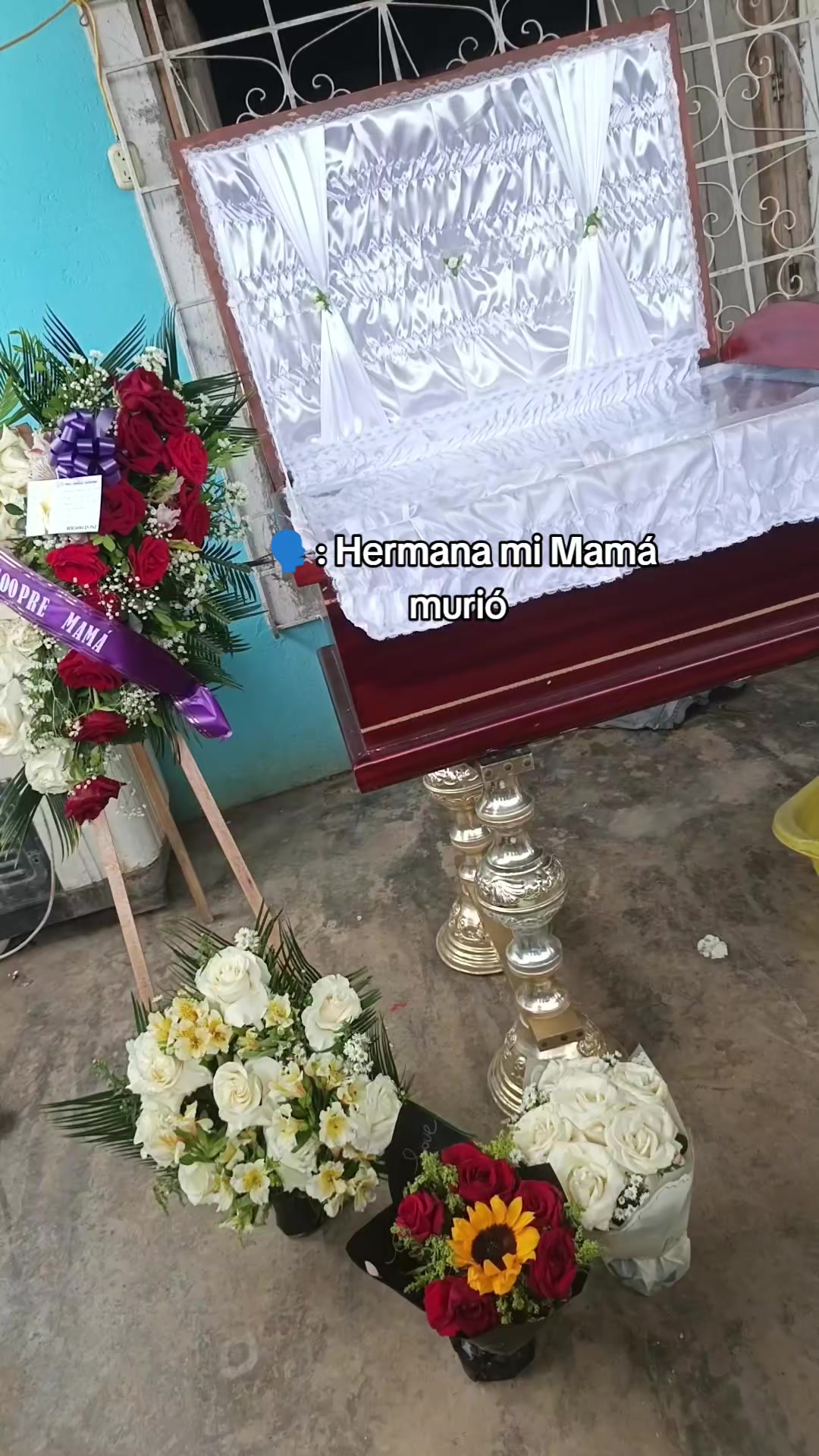 @A.A 12.03.26🕊️😔