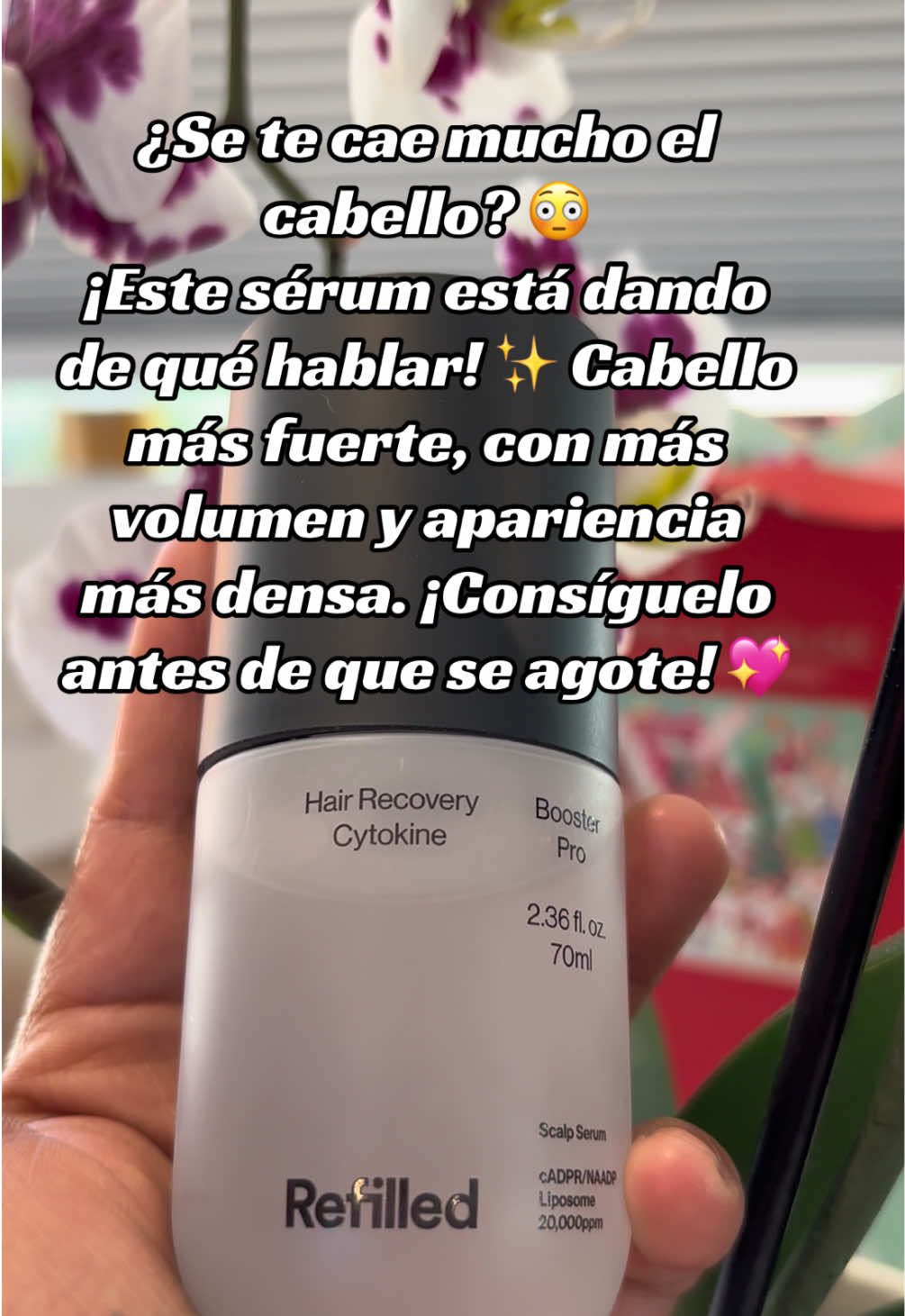 @🌸 Chuy🌸