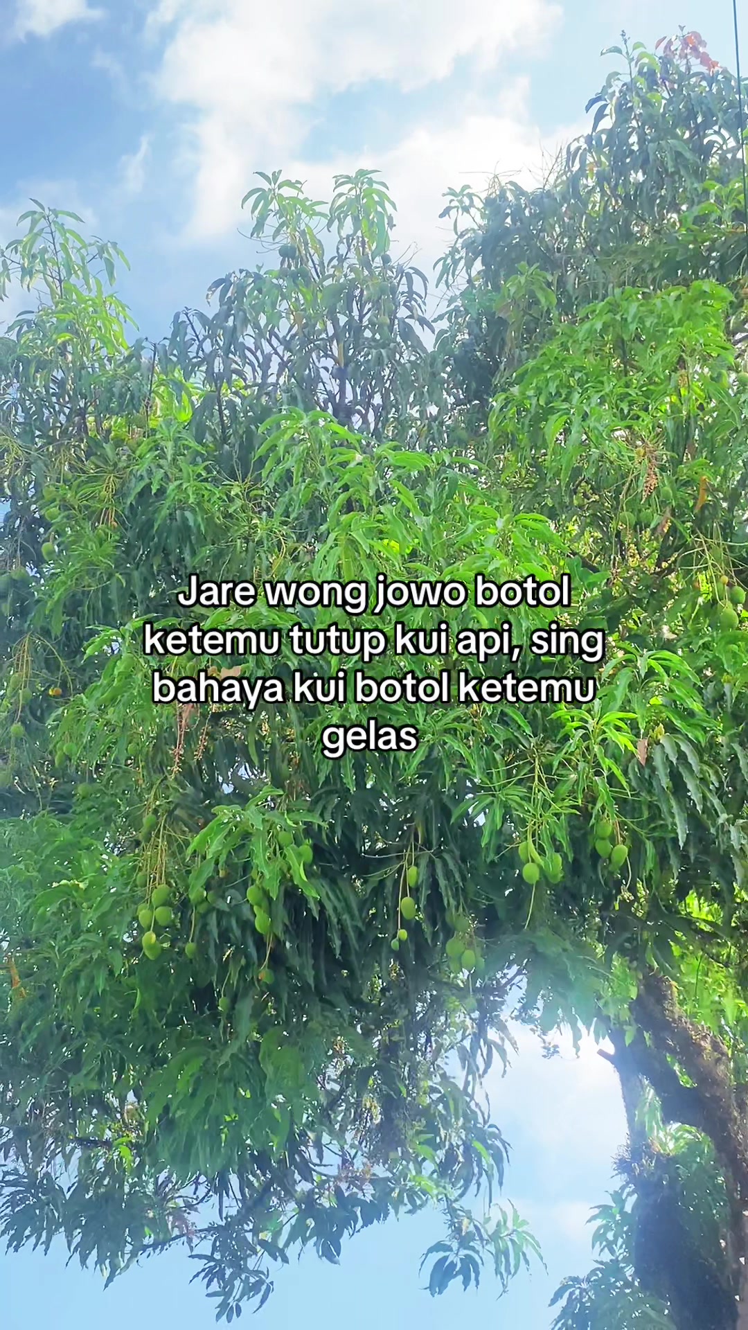 @๐๐๐ข_๐๐
โ๏ธ๐พ